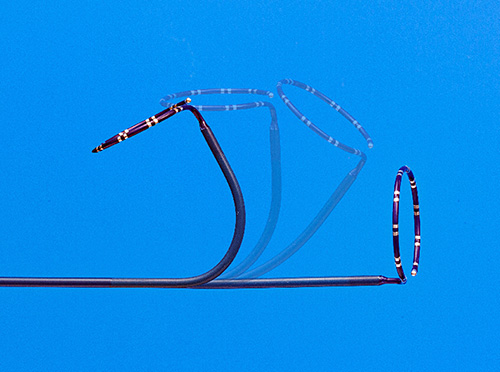 電極カテーテル